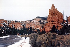 1997 - USA 56 (Red Canyon, UT - Dixie Forest)